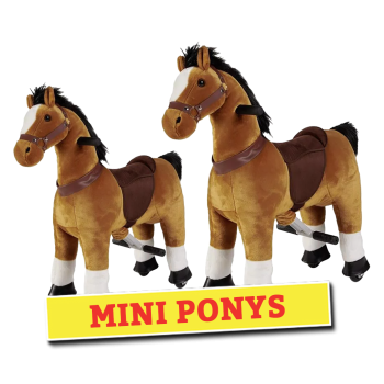 Mini Ponnys